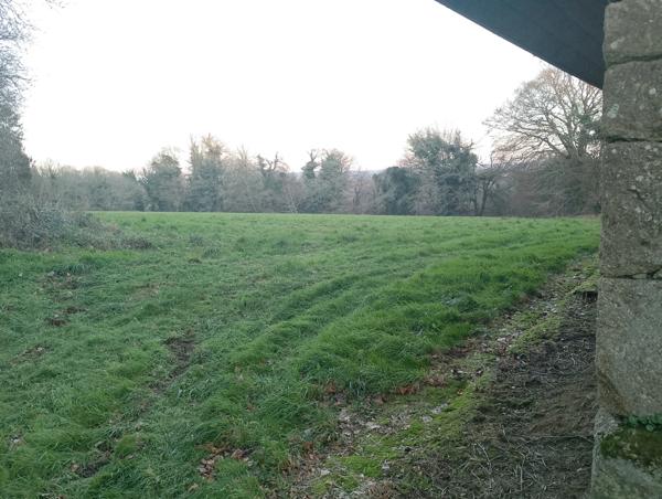 Maison à vendre 4 pièces proche de LANGOELAN (56)