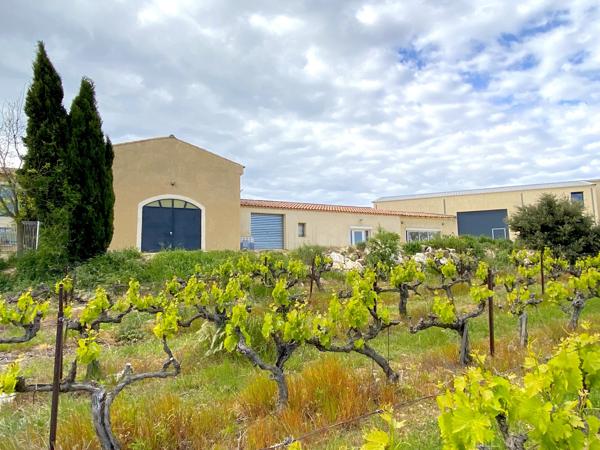 Uzès-Avignon, Medaille d'Or Cotes du Rhone. Propriété, Domaine viticole, dimension familiale, 12 ha AOP, villa Uzès (30700)