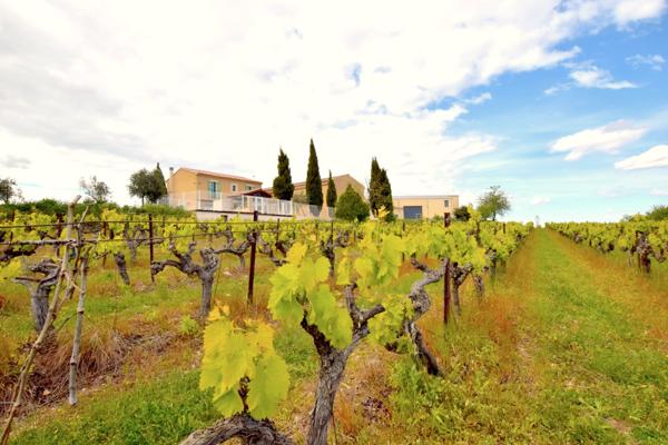 Uzès-Avignon, Medaille d'Or Cotes du Rhone. Propriété, Domaine viticole, dimension familiale, 12 ha AOP, villa Uzès (30700)