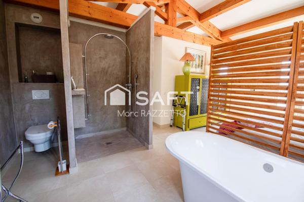 Belle propriété de 340m2 sur 15600m2 de terrain avec piscine