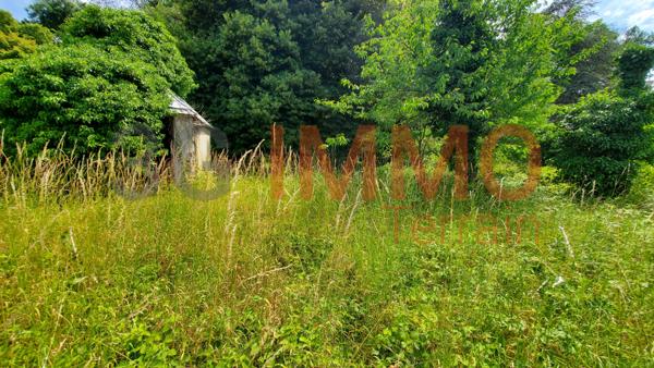 Vente / Terrain constructible