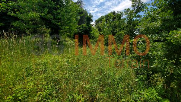 Vente / Terrain constructible