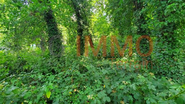 Vente / Terrain constructible