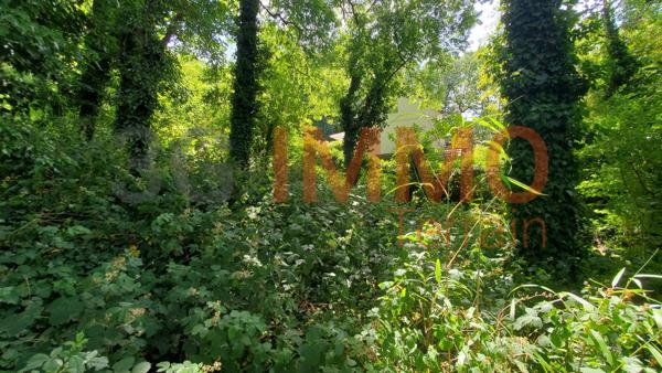 Vente / Terrain constructible