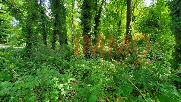 Vente / Terrain constructible