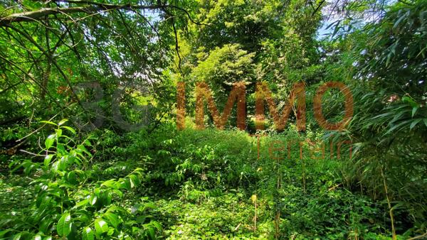 Vente / Terrain constructible