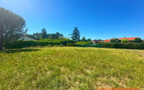 Terrain à vendre    Gaillac