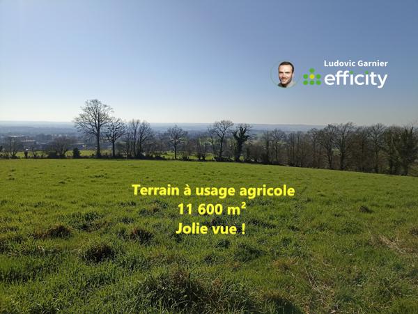 Terrain
        
        - 11600 m² 8 900 € *