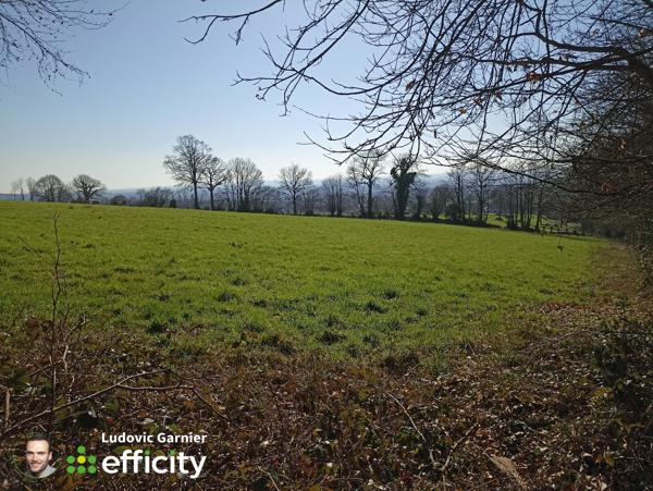Terrain
        
        - 11600 m² 8 900 € *