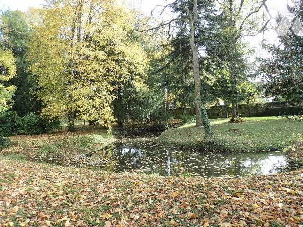 Maison de caractère + studio indépendant étang grand terrain et piscine chauffée proche commodités
