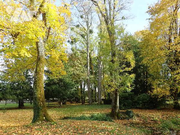Maison de caractère + studio indépendant étang grand terrain et piscine chauffée proche commodités