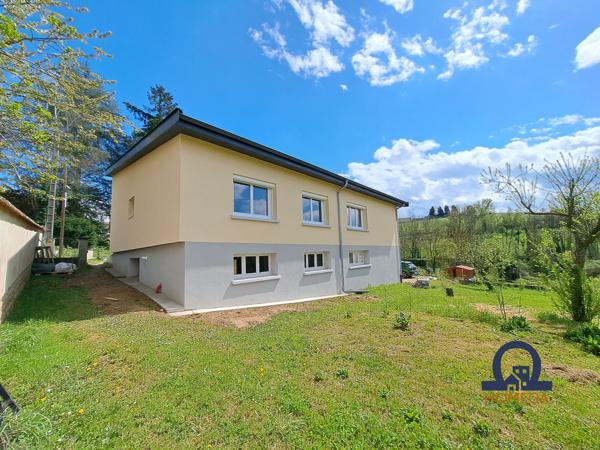 Panissières (42360) Maison Panissieres