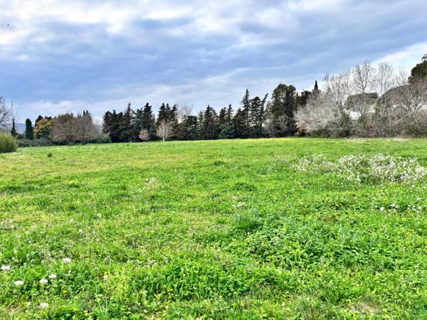 FRÉJUS - Havre de paix sur 1,5 ha