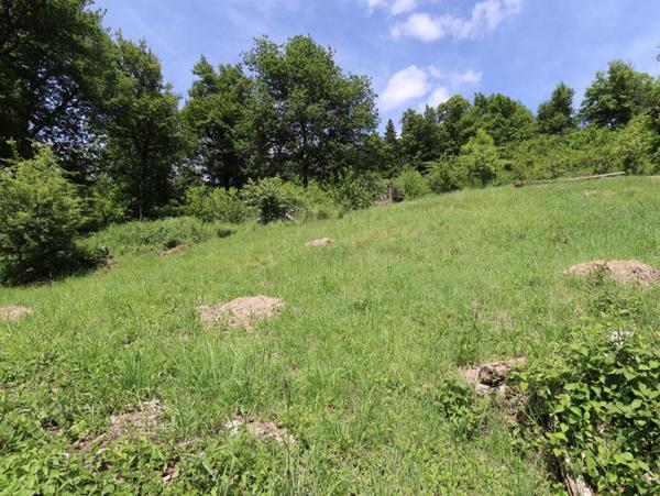 Maison Aubusson d'Auvergne 5 pièce(s) 85 m2 + terrain