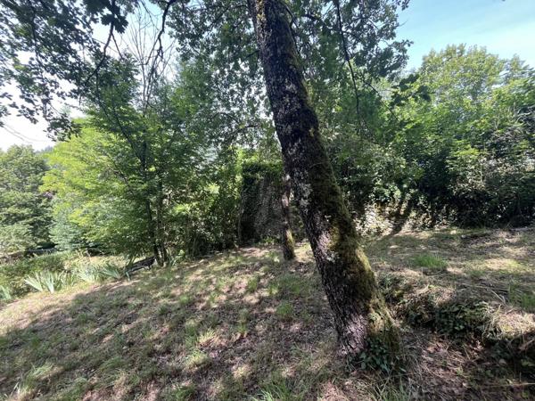 Vente Maison de village 6 pièces 220 m2 à Le Bugue