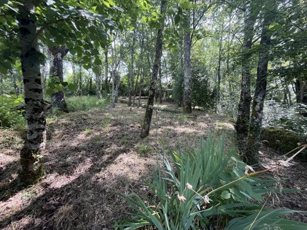 Vente Maison de village 6 pièces 220 m2 à Le Bugue