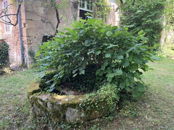 Vente Maison de village 6 pièces 220 m2 à Le Bugue