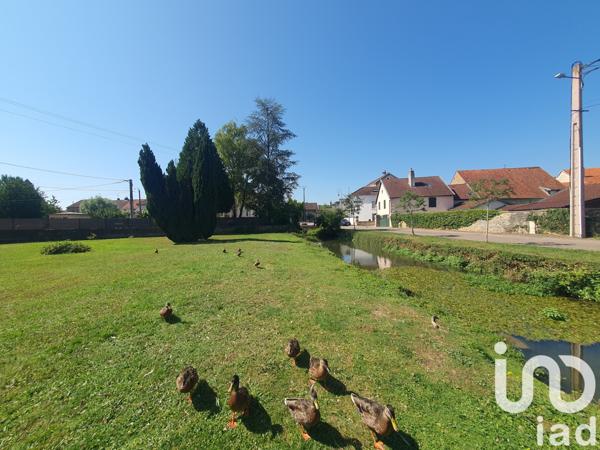 Maison à vendre 3 pièces 91 m² Scey-sur-Saône-et-Saint-Albin