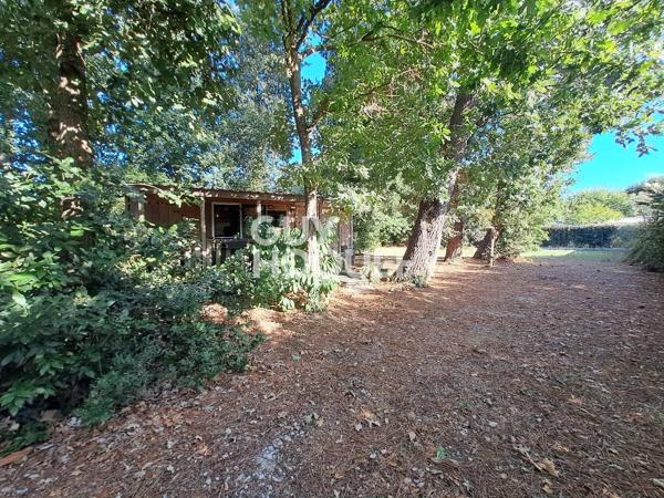 Terrain de loisirs - Saint-Pierre d'Oléron - Un havre de nature de 1911m² avec chalet et mobil-home