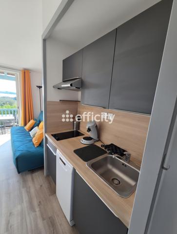 Appartement 2 pièces - 28 m² Exclusivité efficity