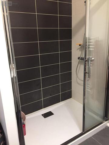 Appartement rénové à louer à Troyes dans l'Aube (10000), ref : 10376/930