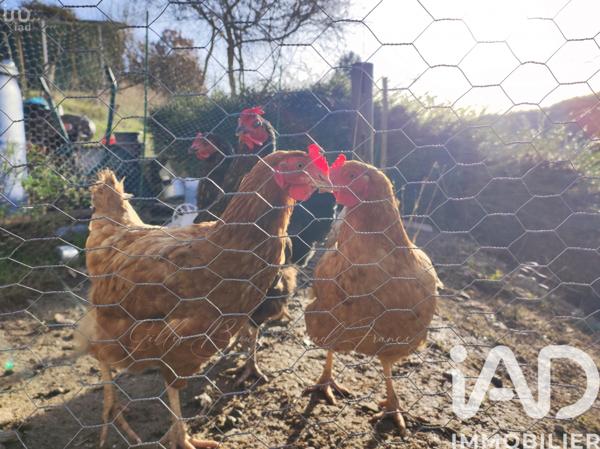 Maison à vendre 6 pièces 154 m² Bourgs sur Colagne