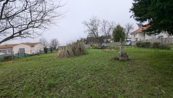 Terrain