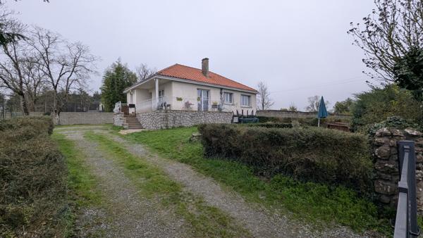 Terrain