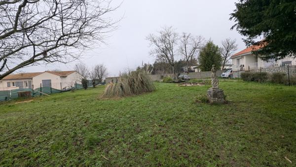 Terrain