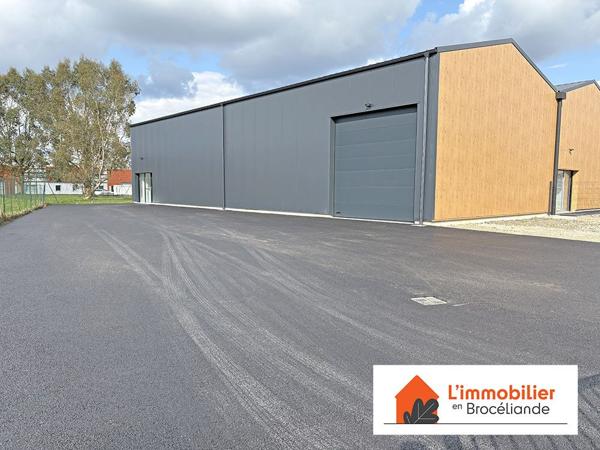 Local Professionnel de 250m² avec grand hangar