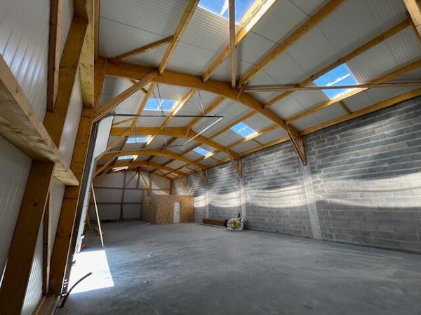 Local Professionnel de 250m² avec grand hangar