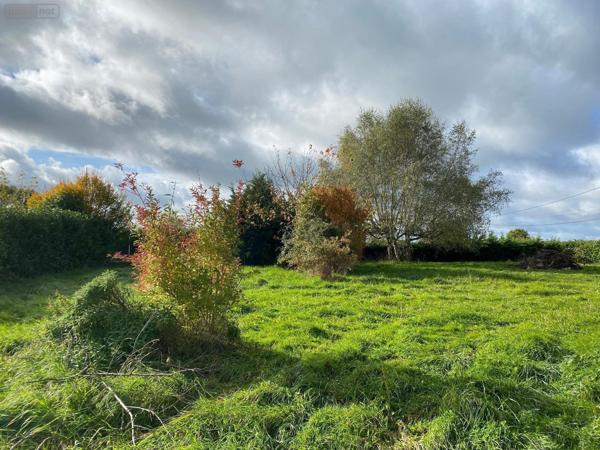 Maison à vendre à Saint-Vincent-Bragny en Saône-et-Loire (71430), ref : M-E-HE