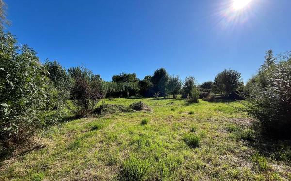 Terrain à vendre |  Montgiscard |  1779 m²