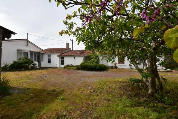 L'AIGUILLON SUR MER 85460 A 2 PAS DU MARCHE MAISON PLAIN PIED AVEC GITE ET DEPENDANCES SUR 994M² A BATIR
