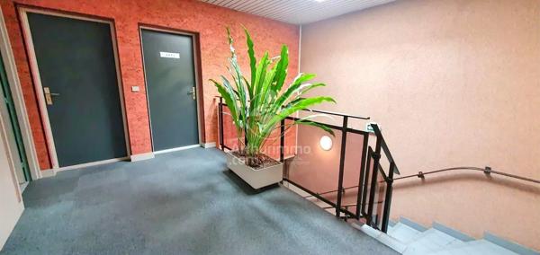 Location                                                      Bureau
                        
                     5 pièces                      90 m2                     à Mont-Saint-Aignan