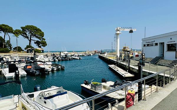 Cap Ferret, vue bassin & port de La Vigne, très belle villa d’architecte, 190 m2, 6 chambres, 6 salles d’eau, grand garage, grande piscine, sur belle parcelle de 1800 m2 environ