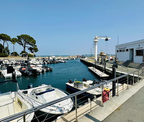 Cap Ferret, vue bassin & port de La Vigne, très belle villa d’architecte, 190 m2, 6 chambres, 6 salles d’eau, grand garage, grande piscine, sur belle parcelle de 1800 m2 environ