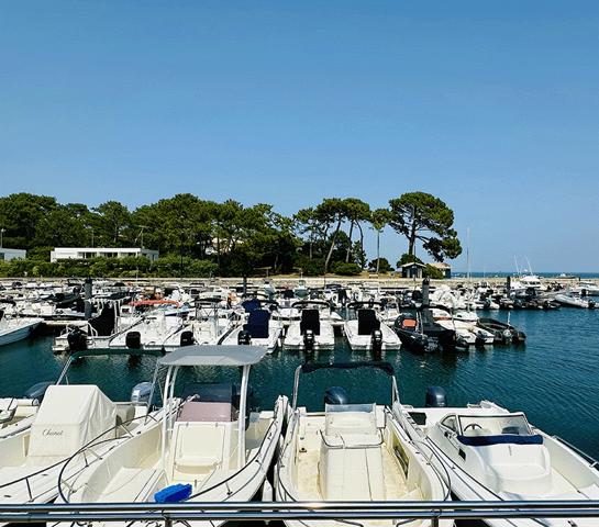 Cap Ferret, vue bassin & port de La Vigne, très belle villa d’architecte, 190 m2, 6 chambres, 6 salles d’eau, grand garage, grande piscine, sur belle parcelle de 1800 m2 environ