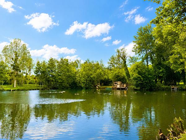 Exceptionnel Terrain avec Etang