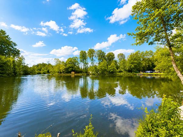 Exceptionnel Terrain avec Etang