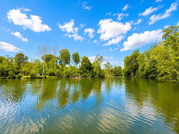 Exceptionnel Terrain avec Etang