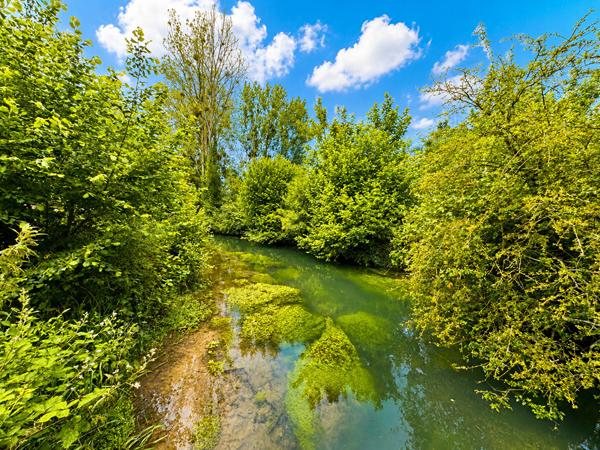 Exceptionnel Terrain avec Etang