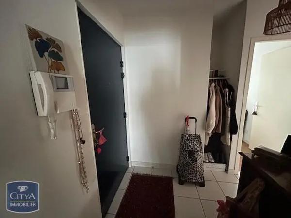 Appartement à louer 3 pièces 61m²