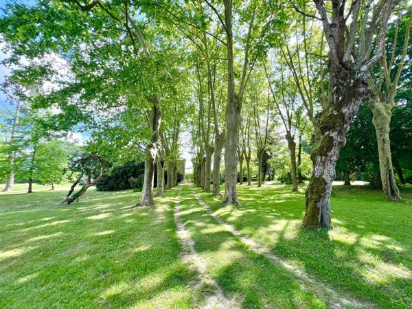 DOMAINE DE 6 Ha AVEC MAISON DE MAITRE - COTTAGE ET DEPENDANCE