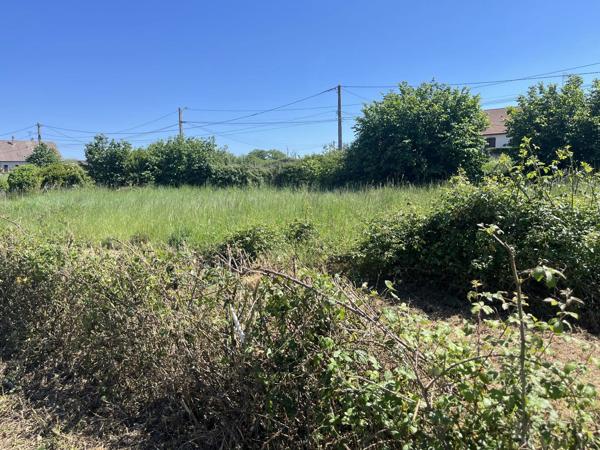 Vente                                                      Terrain
                        
                                         558 m2                     à Nevers