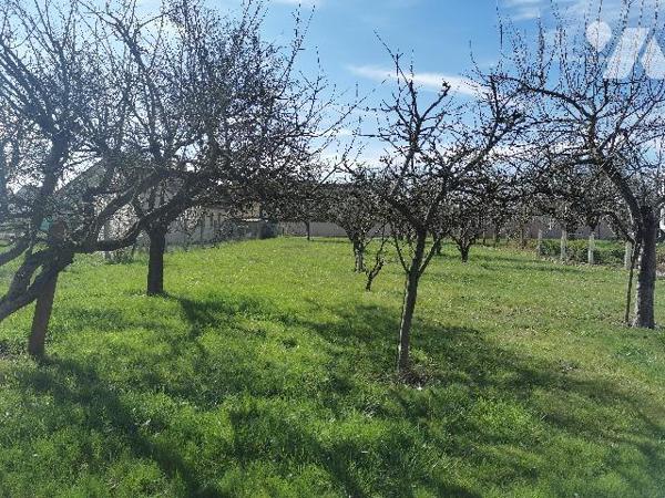 Rare venez découvrir cette belle maison en plein de cœur de Saint Usage avec son magnifique terrain.