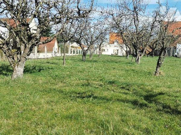 Rare venez découvrir cette belle maison en plein de cœur de Saint Usage avec son magnifique terrain.