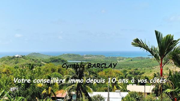 Villa d'architecte à LE VAUCLIN (97280)