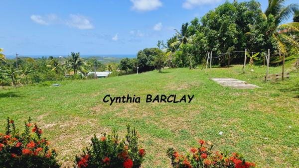 Villa d'architecte à LE VAUCLIN (97280)