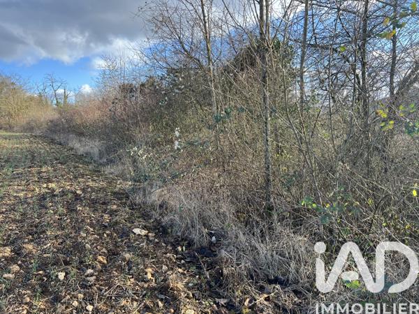 Terrain à vendre 5 998 m² Pont-à-Mousson